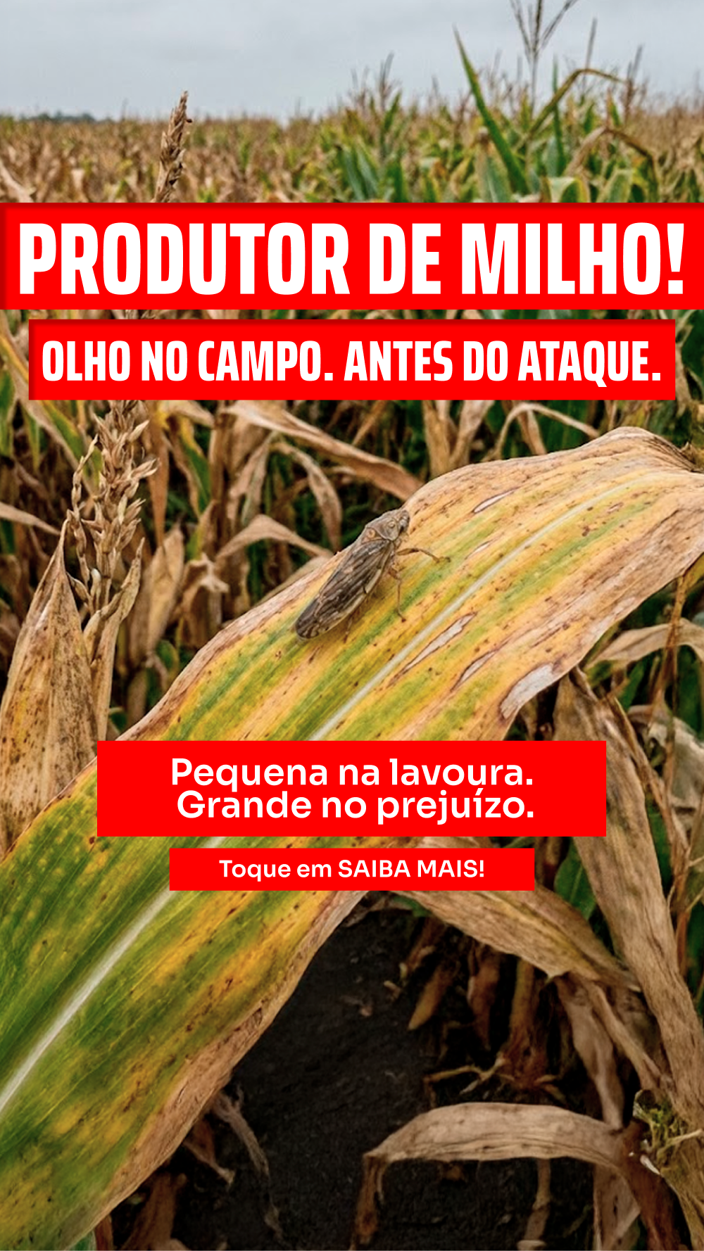 Anúncio em formato de story sobre Chuvas excessivas